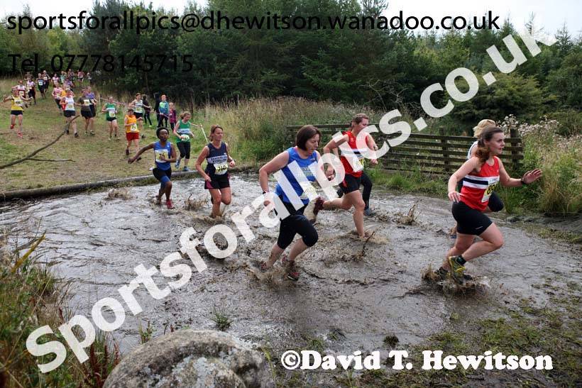 Senior womens Start Fitness North Eastern Harrier League, Tanfield, County Durham. Photo: David T. Hewitson/Sports for All Pics